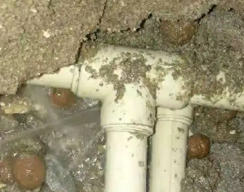 君山测漏水多少钱