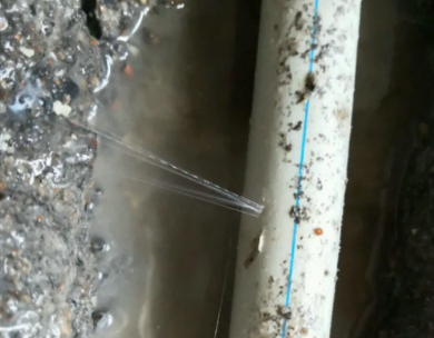 君山测漏水哪家好