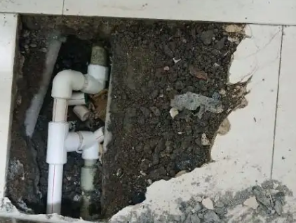 君山测漏水哪家好