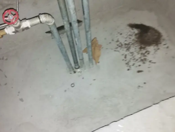 君山卫生间测漏水价格明细