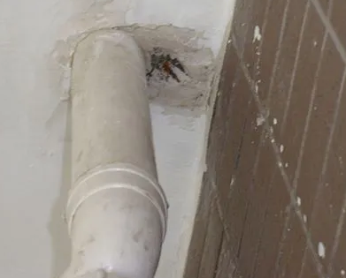 君山漏水检测哪家好